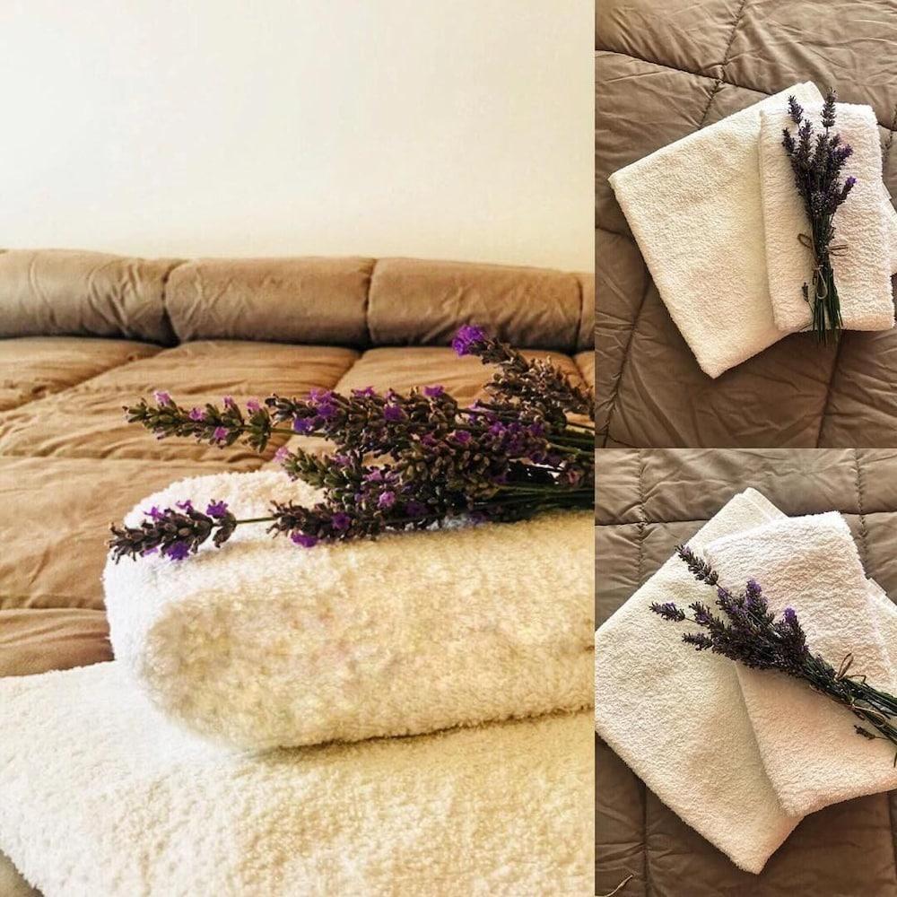 Hotel Losanna Rimini Kültér fotó